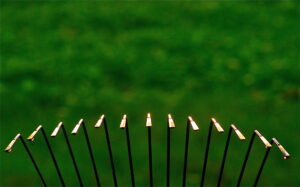 photo rake tines