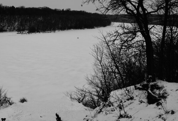 4" fat tire biker on frozen Mississippi River. Cold February day. Dog spots biker and wants to investigate. By Casey Cavanaugh