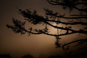 Early morning orange sky sunrise with fog in San Francisco.